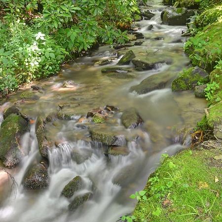 Panther Creek Cabins Cherokee Bagian luar foto